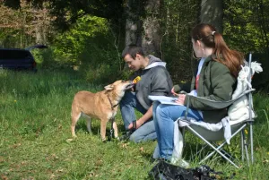 military 2011