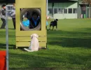 schlussuebung 2011