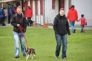 military 2012