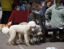 military 2012