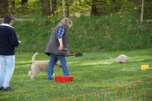 spasssport 2012