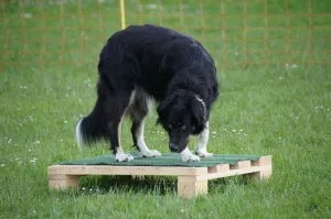 spasssport 2012
