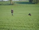 herbstpruefung 2012