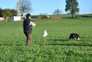 herbstpruefung 2014