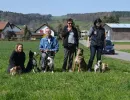 spasssport neftenbach 2014
