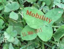 mobility 2015