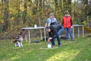 schlussuebung 2015