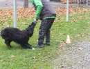 schlussuebung 2016