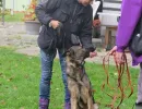 schlussuebung 2017