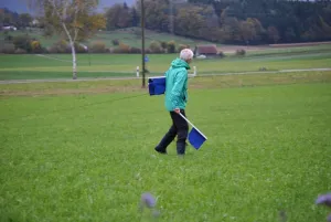 herbstpruefung 2017