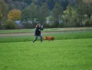 herbstpruefung 2017
