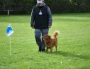herbstpruefung 2017