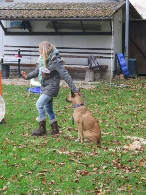 schlussuebung 2018