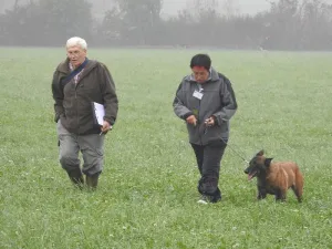 herbstpruefung 2018