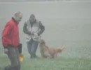 herbstpruefung 2018
