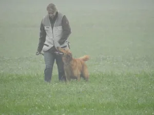 herbstpruefung 2018
