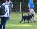 spasssport 2019