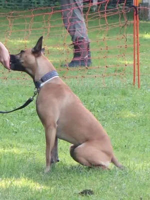spasssport 2019