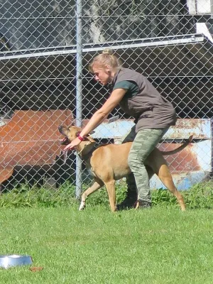 spasssport 2019