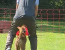 spasssport 2019