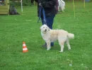 spasssport 2023