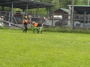 mobility 2025