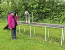 mobility 2025