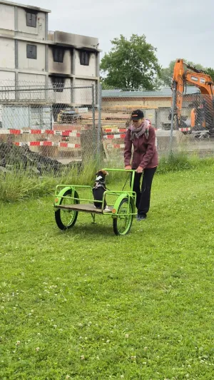 mobility 2025