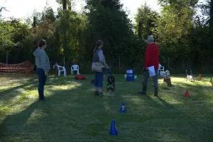 spasssport 2025