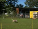 spasssport 2025