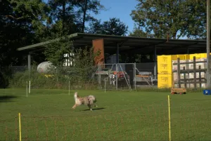 spasssport 2025