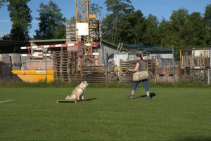 spasssport 2025