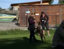 spasssport 2025