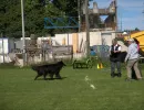 spasssport 2025