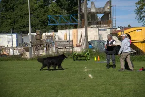 spasssport 2025
