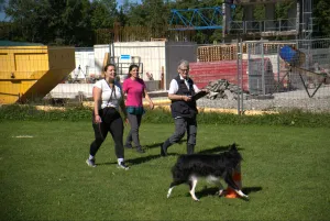 spasssport 2025