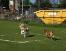 spasssport 2025