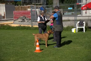 spasssport 2025