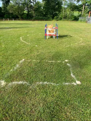 spasssport 2026