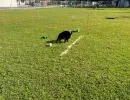 spasssport 2026