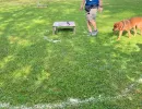 spasssport 2026
