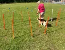 spasssport 2026