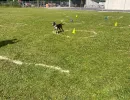 spasssport 2026