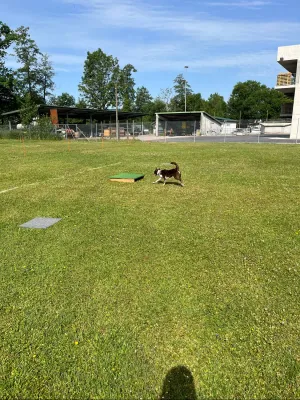spasssport 2026