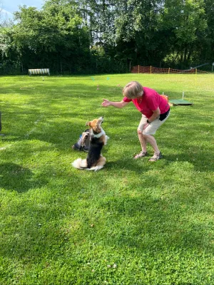 spasssport 2026