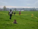 spasssport niederuzwil 2014