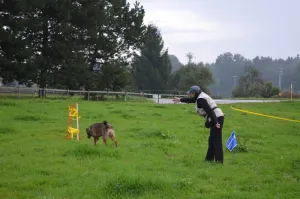 spasssport niederuzwil 2014