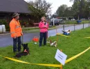 spasssport niederuzwil 2014