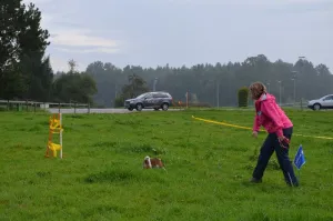 spasssport niederuzwil 2014
