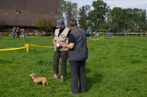 spasssport niederuzwil 2014
